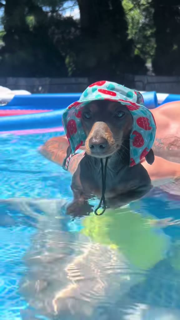 Pretty Little Baby, original TikTok video by haileyandwinnie